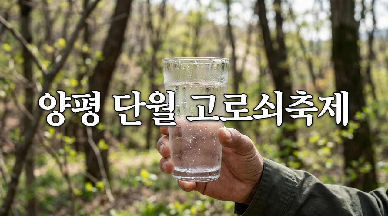 양평 단월 고로쇠축제 2026: 일정, 주차, 효능 및 알짜 정보 가이드