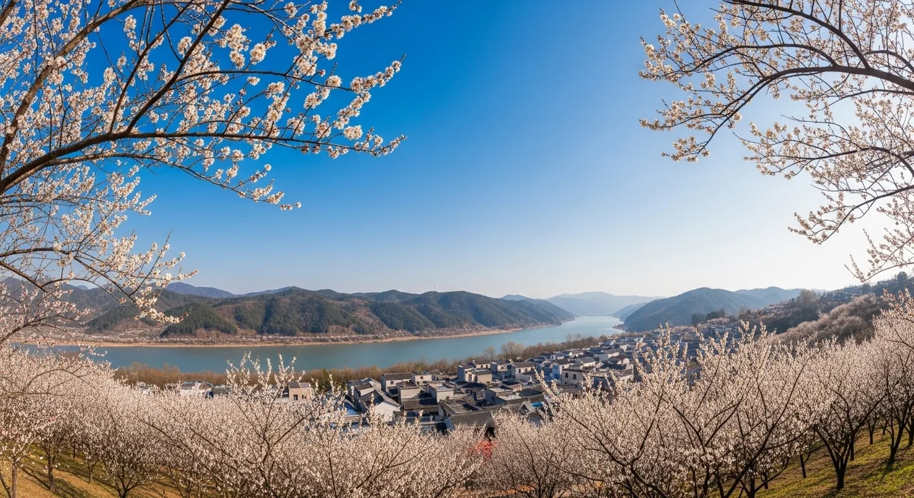 봄의 시작, 광양 매화축제의 매력
