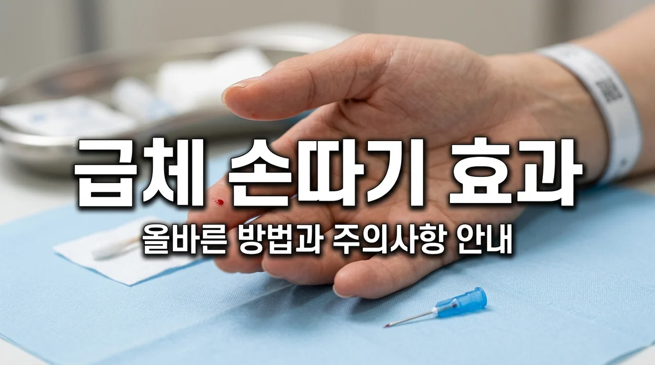 체했을 때 손 따기 효과와 올바른 대처법 (2026년 최신 가이드)