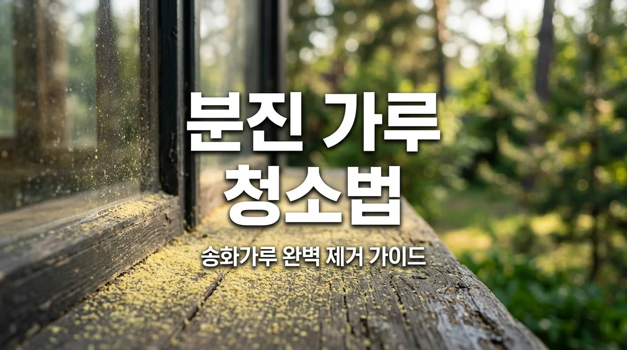 소나무 분진 가루 청소방법 및 2026년 송화가루 시기 환기 팁