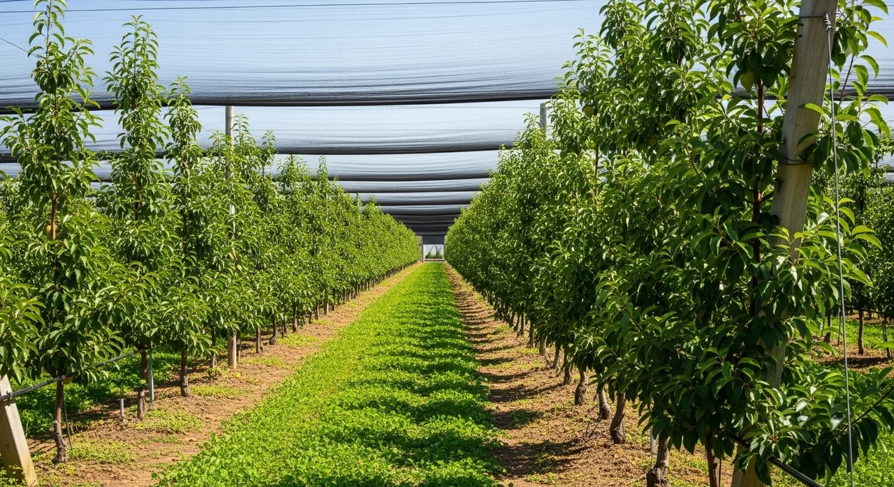 과수원 지원 정책, 핵심을 먼저 파악하세요