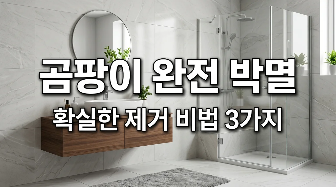 화장실 곰팡이 제거 확실한 방법 3가지와 재발 방지 꿀팁