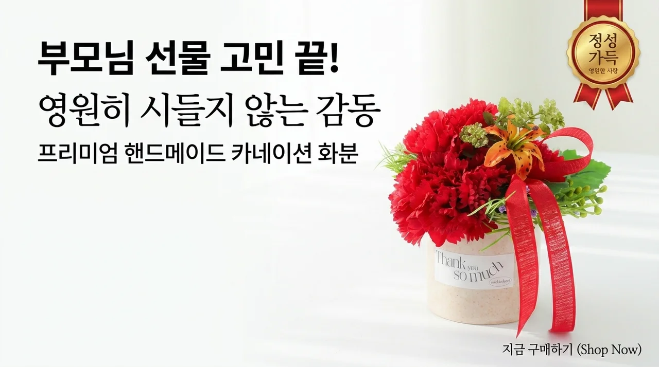 부모님 선물 고민 끝! 시들지 않는 감동 카네이션 화분