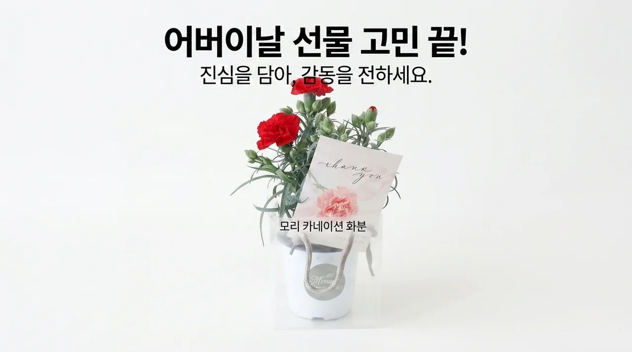 어버이날 선물 고민 끝, 모리앤 카네이션 화분으로 감동을 전하세요