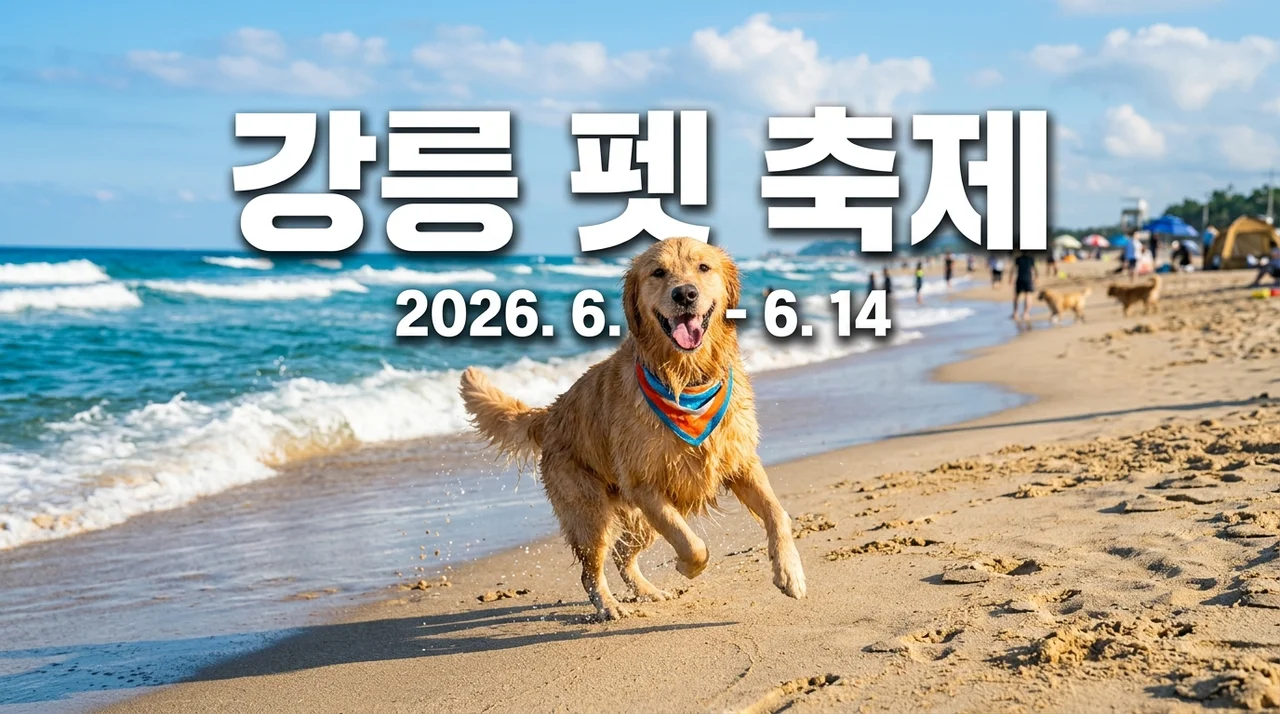 강릉해양레저 펫가족 힐링페스티벌 2026 일정과 준비물 총정리