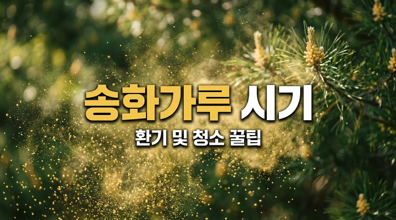 송화가루 시기 언제까지? 2026년 환기와 청소 완벽 가이드