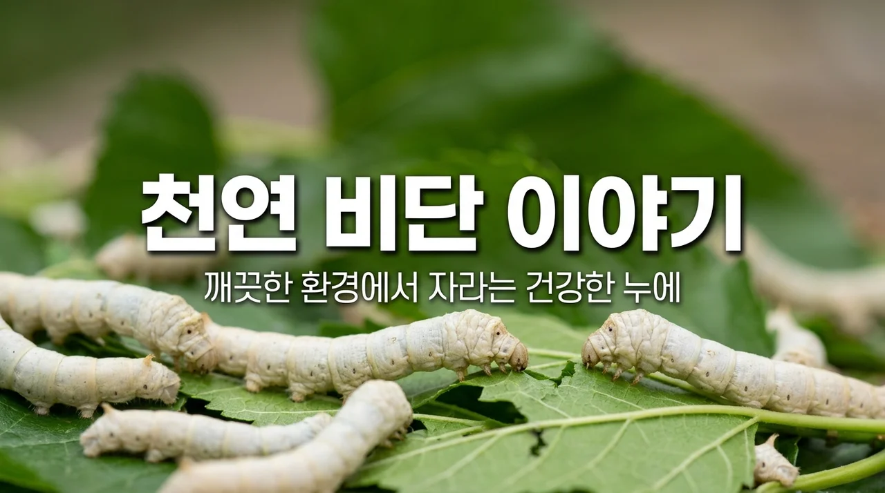 예천 양잠농가 기능성 우량잠종대 지원 신청자격 및 고품질 누에 생산법
