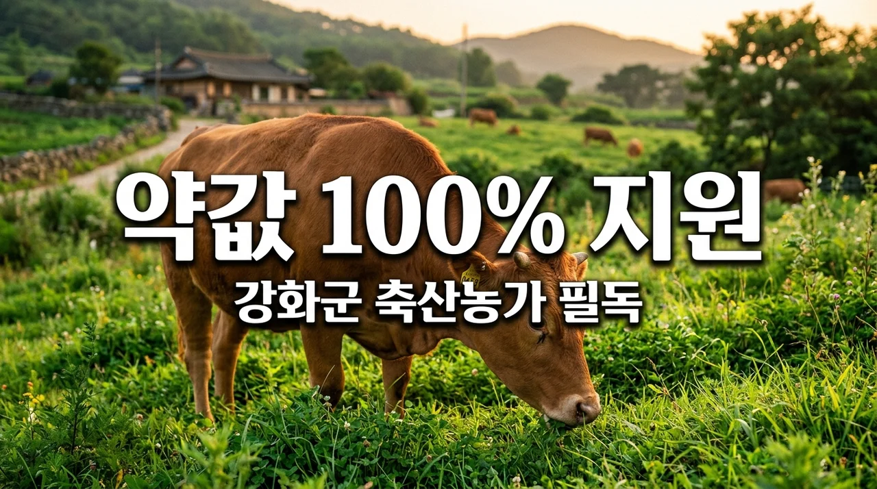 강화군 가축 예방약품 지원 최대 100% 공짜! 축산농가 신청 방법과 서류 총정리