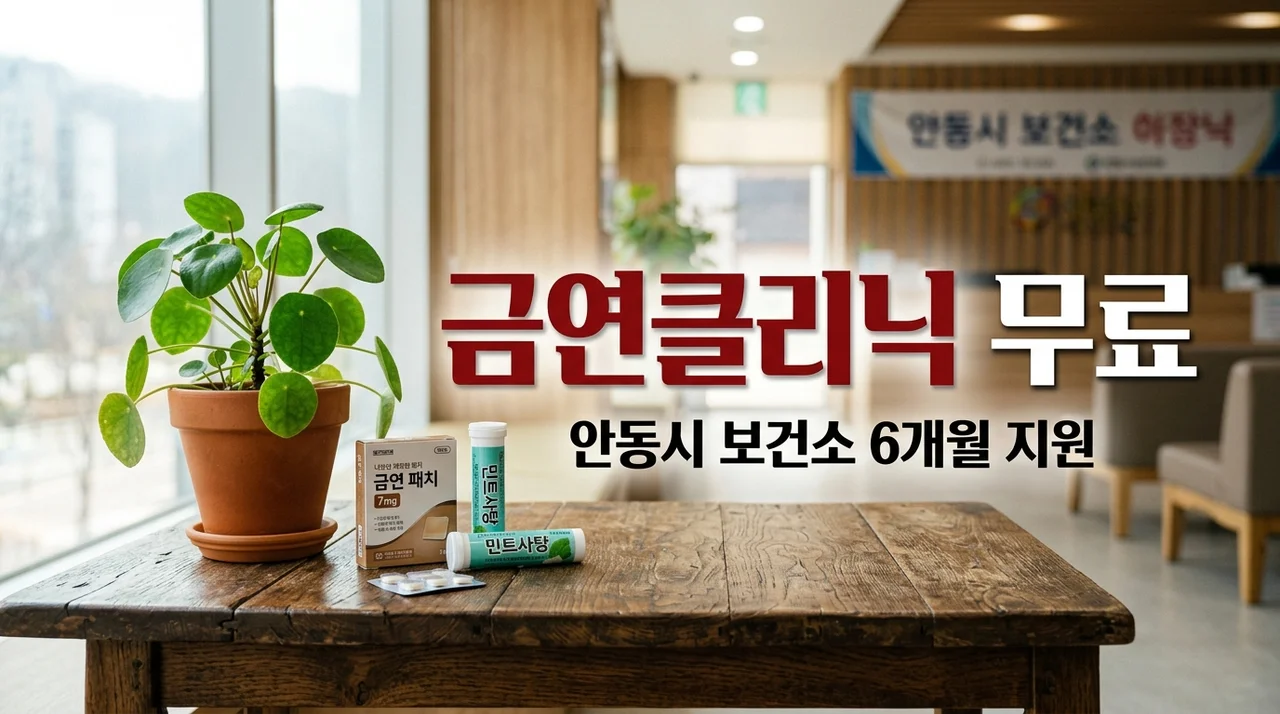 안동시 보건소 금연클리닉 무료 혜택 신청방법 및 6개월 성공 팁