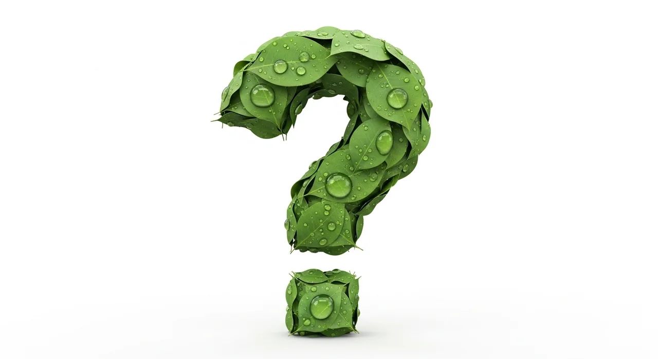 자주 묻는 질문 (FAQ)