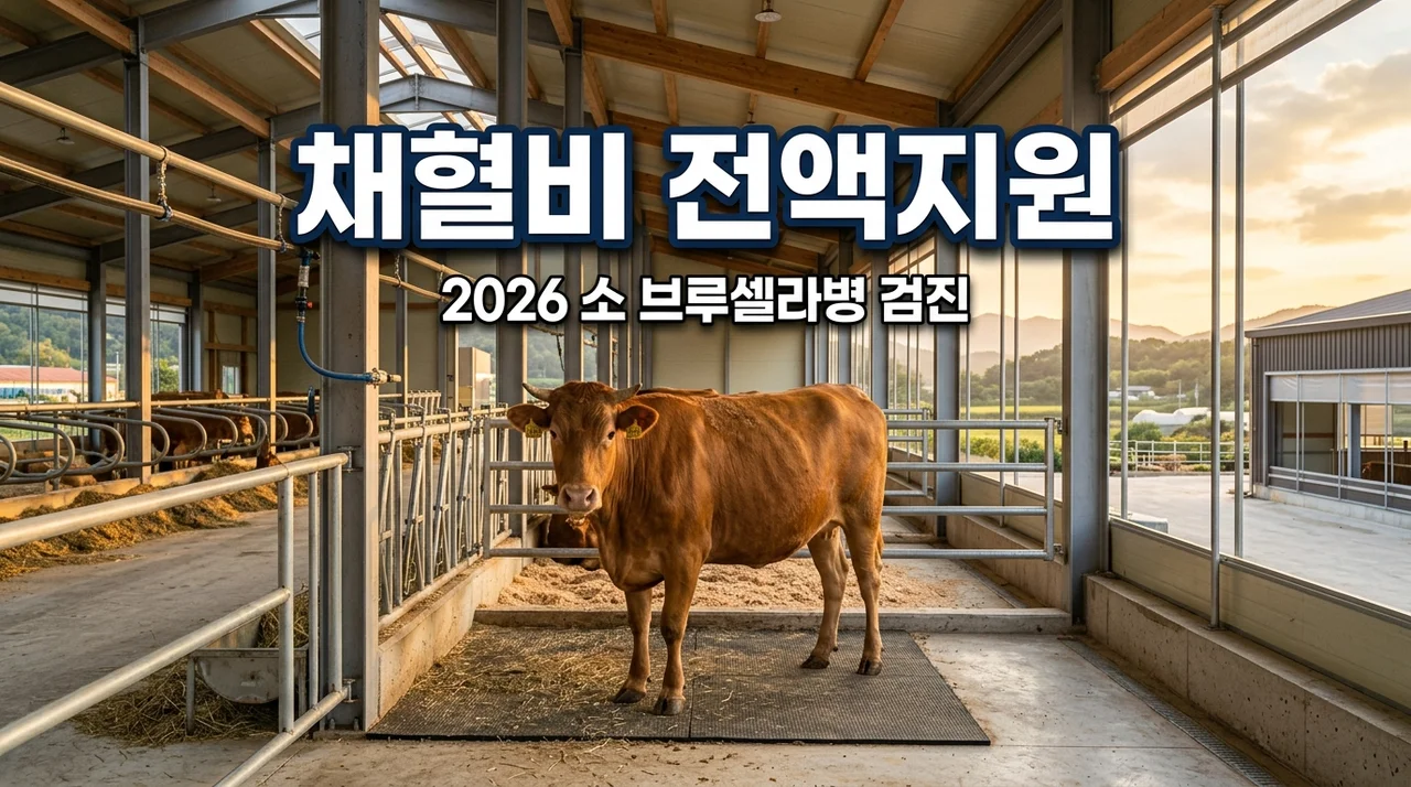 2026년 소 브루셀라병 검진 채혈비 전액 지원 대상 및 신청 방법 안내