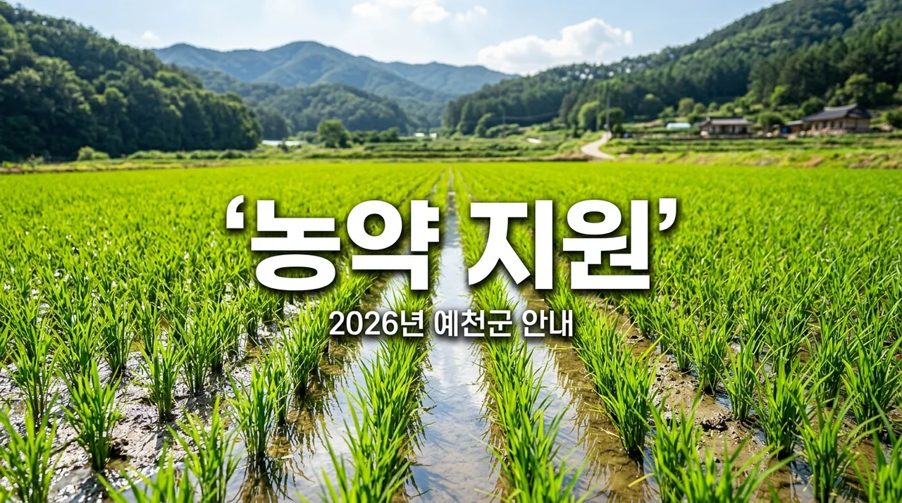 예천군 벼 육묘상자 처리약제 지원 신청 방법 및 혜택 완벽 정리