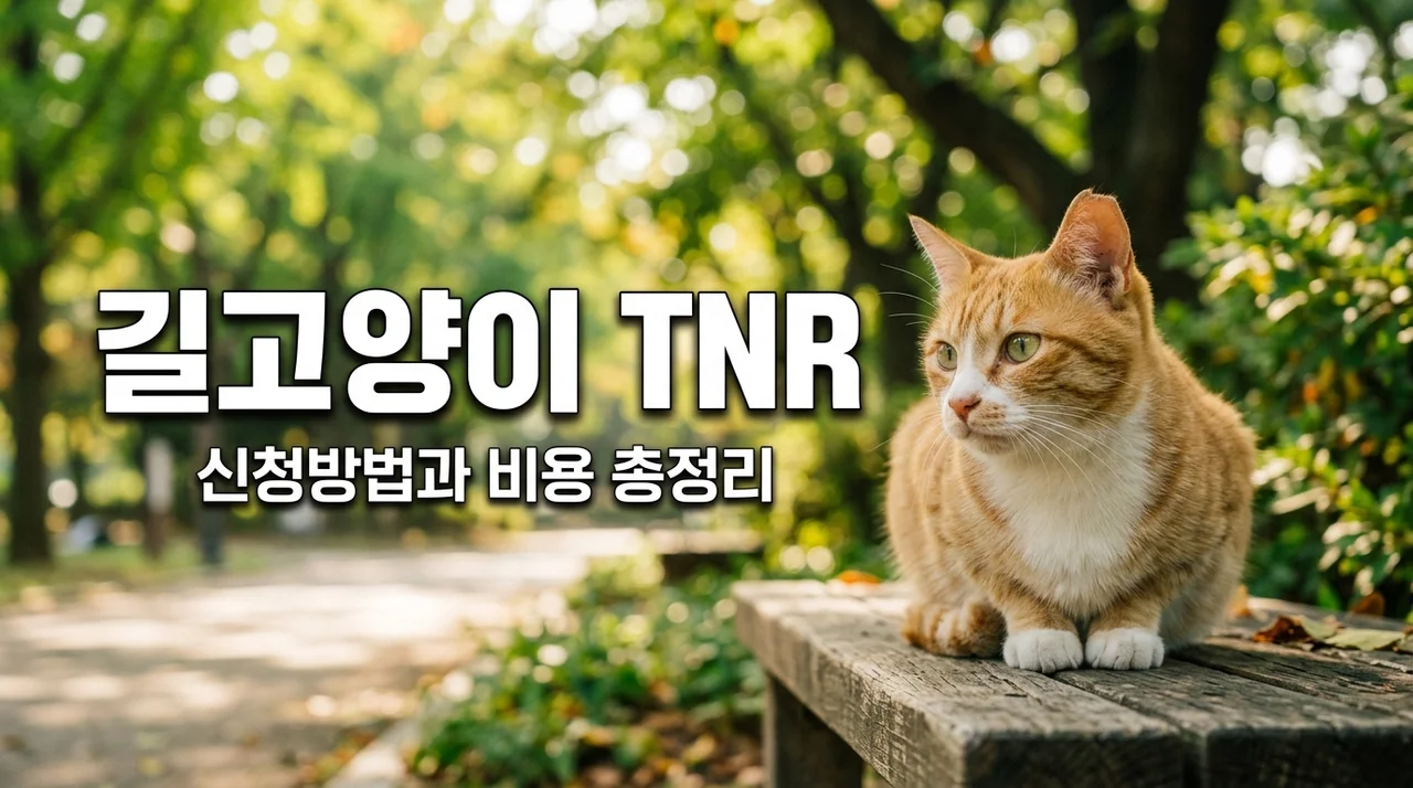 길고양이 중성화 지원 TNR 신청방법 대상 비용 100% 무료 혜택 총정리