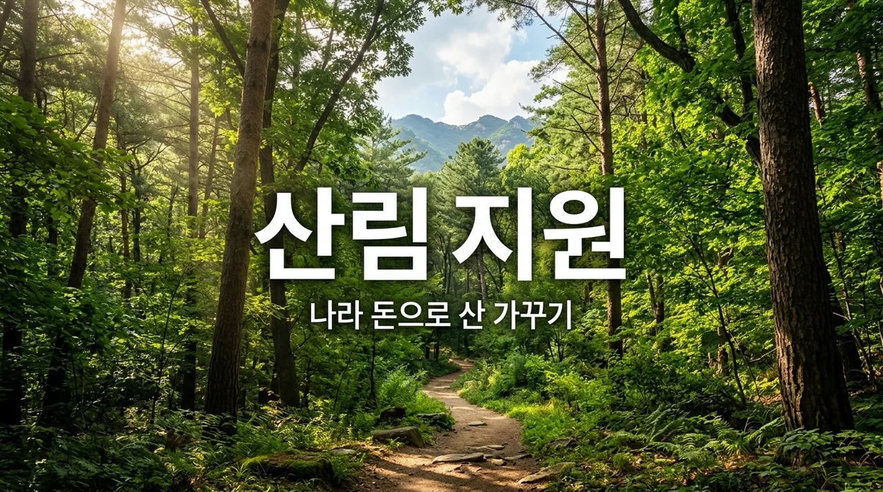 산 갖고 계신 분 필독! 풀베기부터 나무가꾸기까지 나라 돈으로 관리하세요