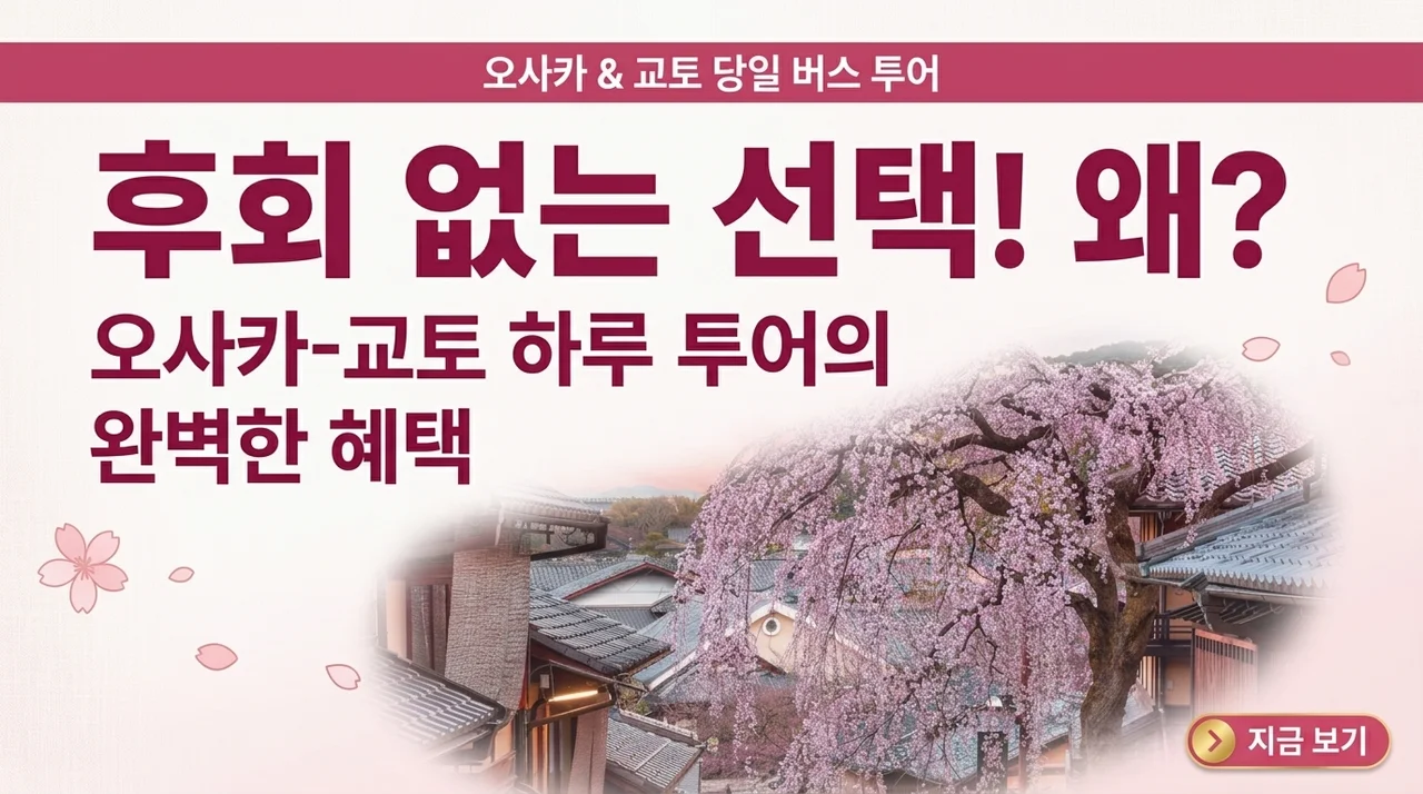 오사카 교토 일일 버스투어, 후회 없는 선택인 이유