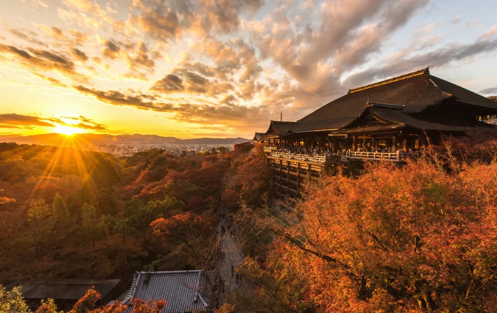 [QR바로사용/교환불필요] 게이한 교토-오사카 디지털 패스 1일권 or 24시간권 상세 이미지 5
