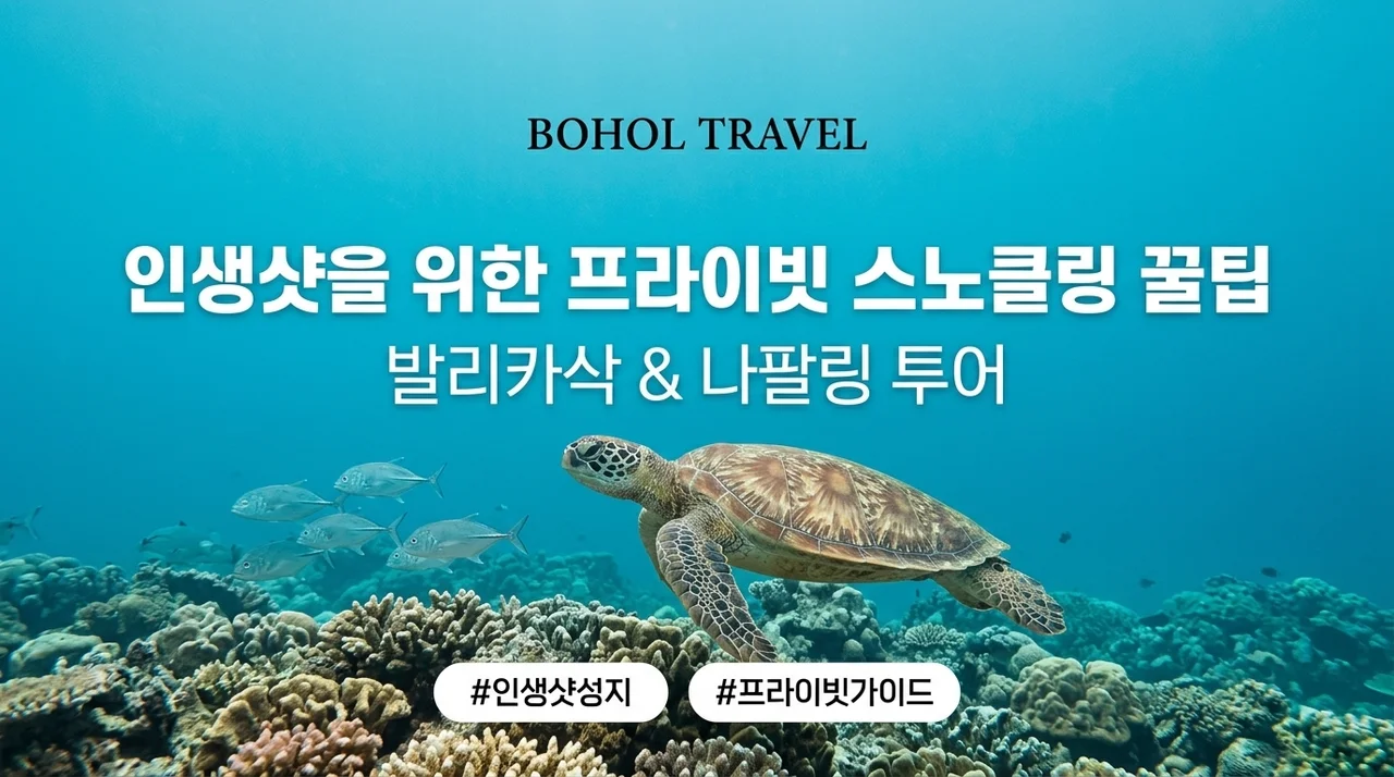 보홀 발리카삭 나팔링 투어, 인생샷 남기는 단독 스노쿨링 꿀팁