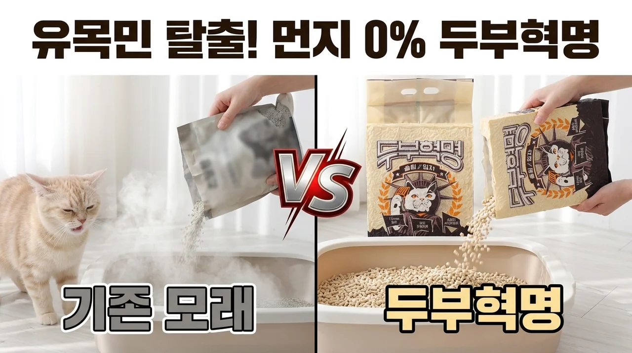 두부혁명 먼지없는 고양이 두부모래, 유목민 생활 이제 끝낼까요?