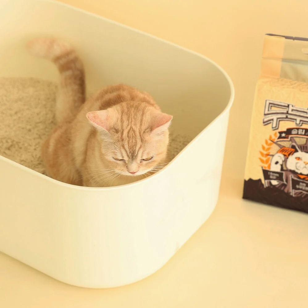 두부혁명 먼지없는 고양이 두부모래 슬림입자 2.5kg x 5개입 상세 이미지 5