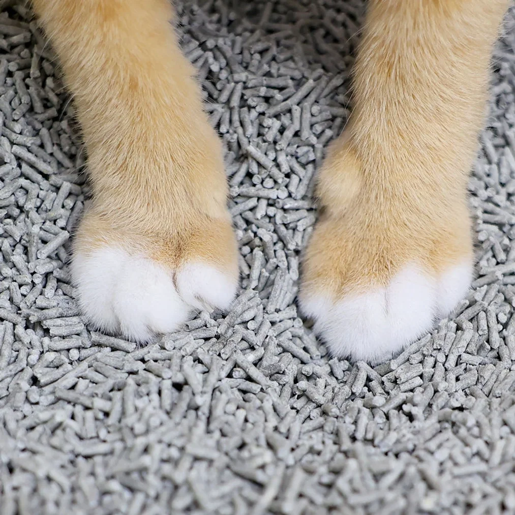 두부혁명 먼지없는 고양이 두부모래 슬림입자 2.5kg x 5개입 상세 이미지 7