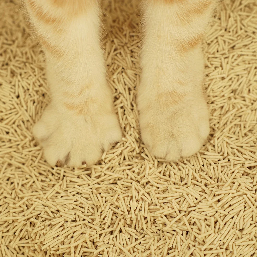 두부혁명 먼지없는 고양이 두부모래 슬림입자 2.5kg x 5개입 상세 이미지 8