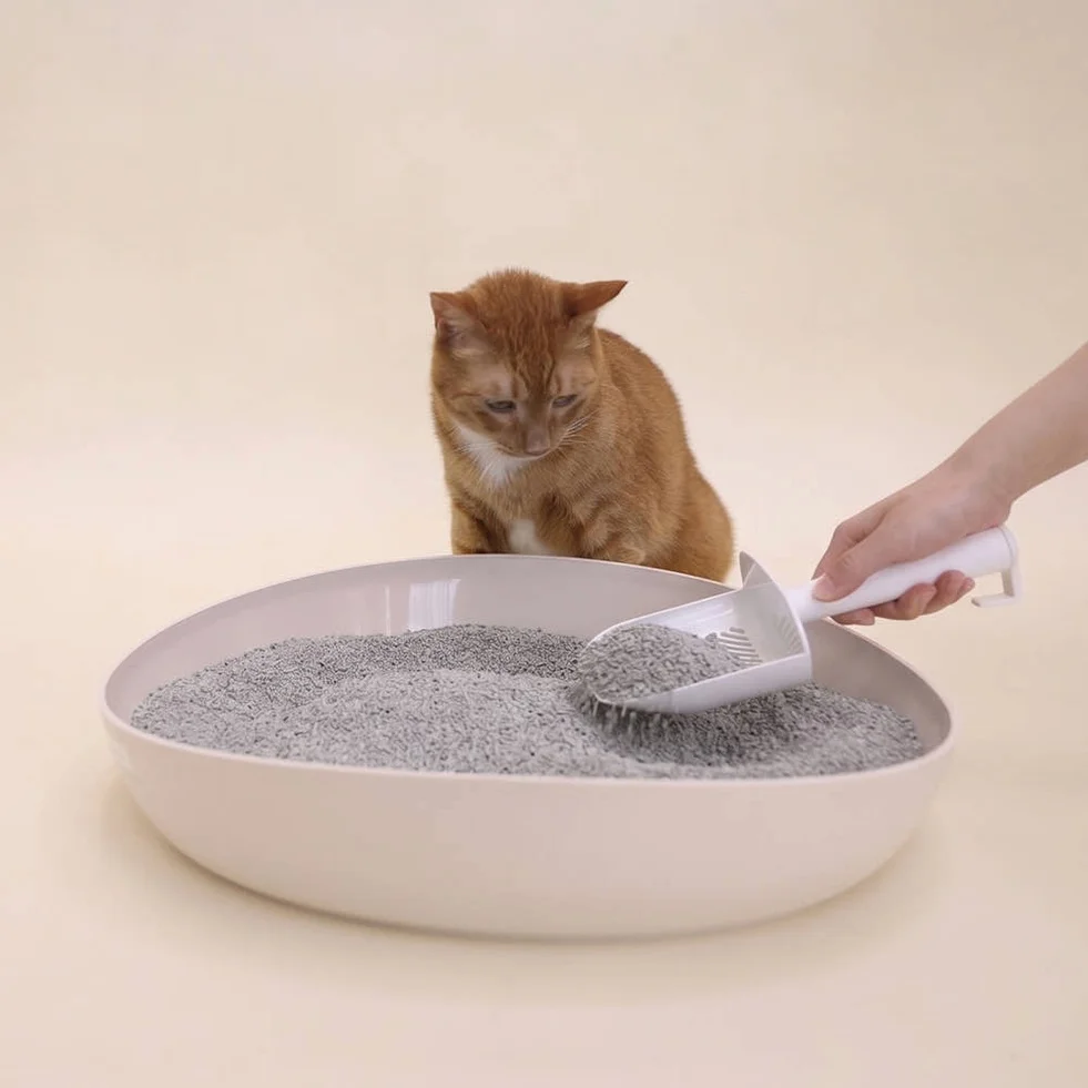 두부혁명 먼지없는 고양이 두부모래 슬림입자 2.5kg x 5개입 상세 이미지 9