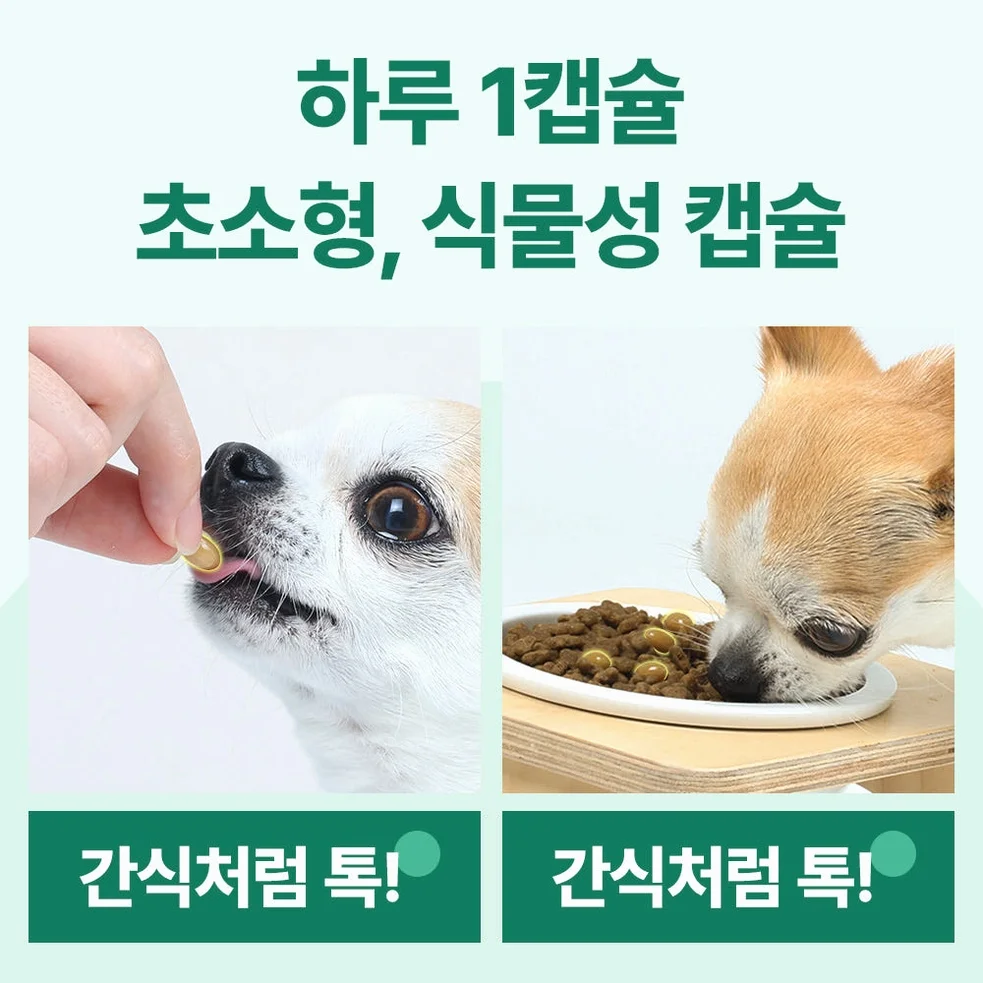 닥터바이 강아지 관절 영양제 슬개골 탈구 무릎 고관절 케어 절뚝거림 힙앤조인트스위프트, 120캡슐, 1개 상세 이미지 1