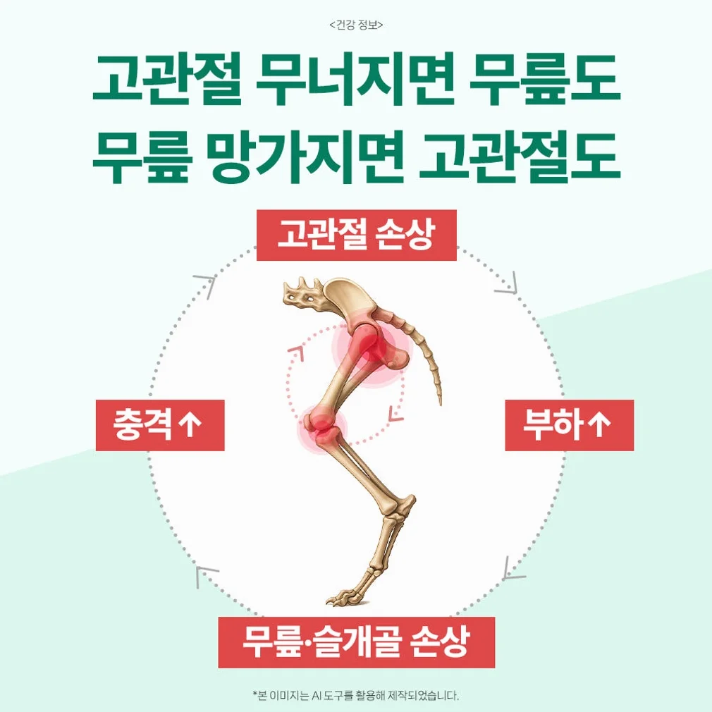 닥터바이 강아지 관절 영양제 슬개골 탈구 무릎 고관절 케어 절뚝거림 힙앤조인트스위프트, 120캡슐, 1개 상세 이미지 4