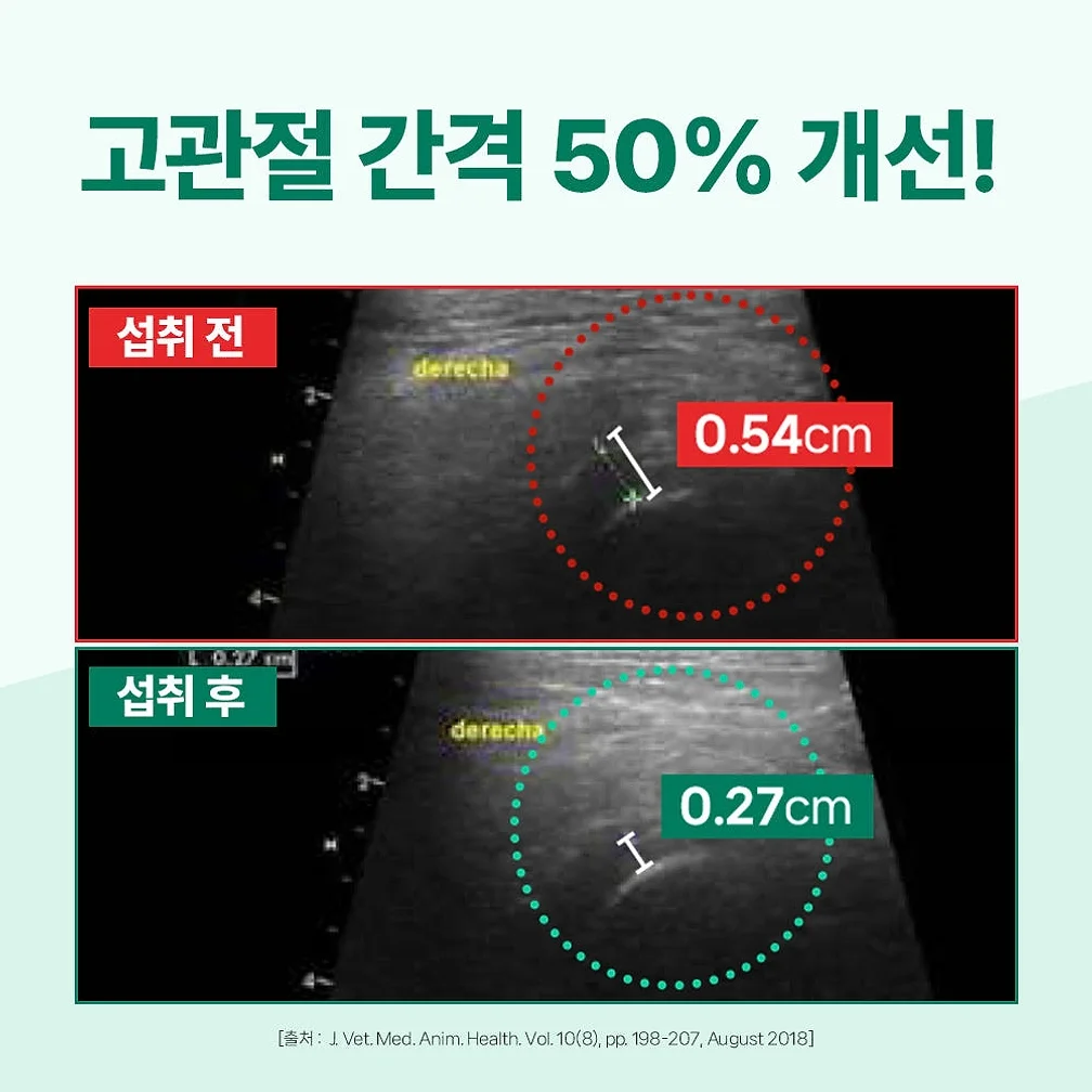 닥터바이 강아지 관절 영양제 슬개골 탈구 무릎 고관절 케어 절뚝거림 힙앤조인트스위프트, 120캡슐, 1개 상세 이미지 7