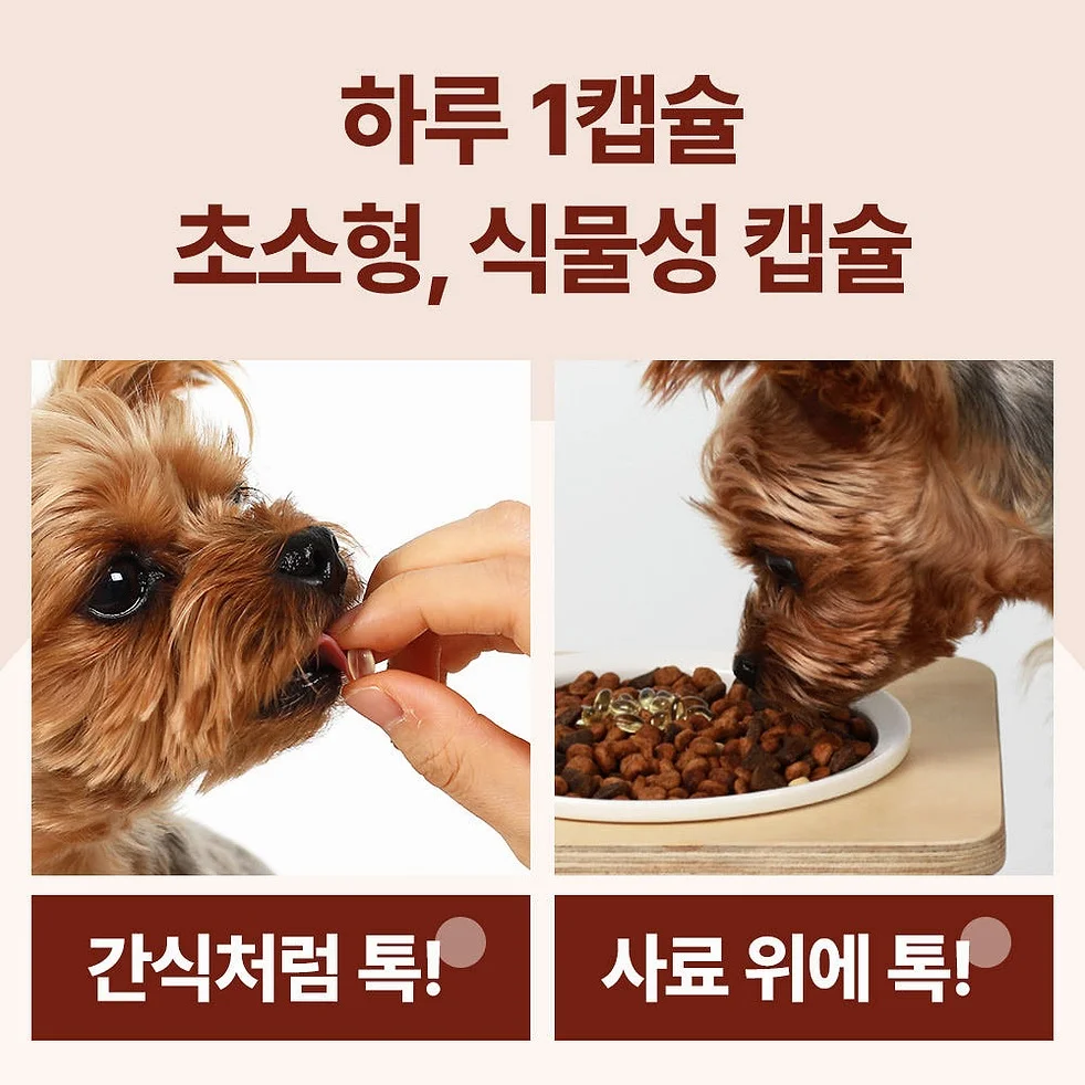 닥터바이 강아지 오메가3 피부 관절 심장 영양제 150캡슐, 1개 상세 이미지 7