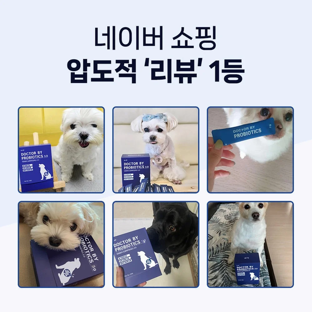닥터바이 강아지 유산균 프로바이오틱스 장건강 영양제 유익균보충, 30포, 1개 상세 이미지 6