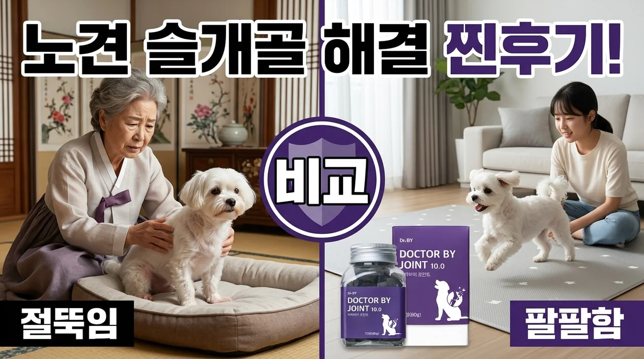 닥터바이 조인트 관절 영양제, 노견 슬개골 고민 끝낸 찐후기