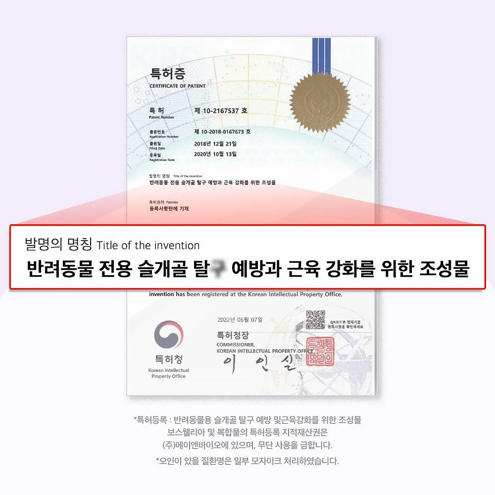 닥터바이 강아지 관절 영양제 슬개골 탈구 무릎 고관절 케어 절뚝거림 조인트, 70정, 1개 상세 이미지 3