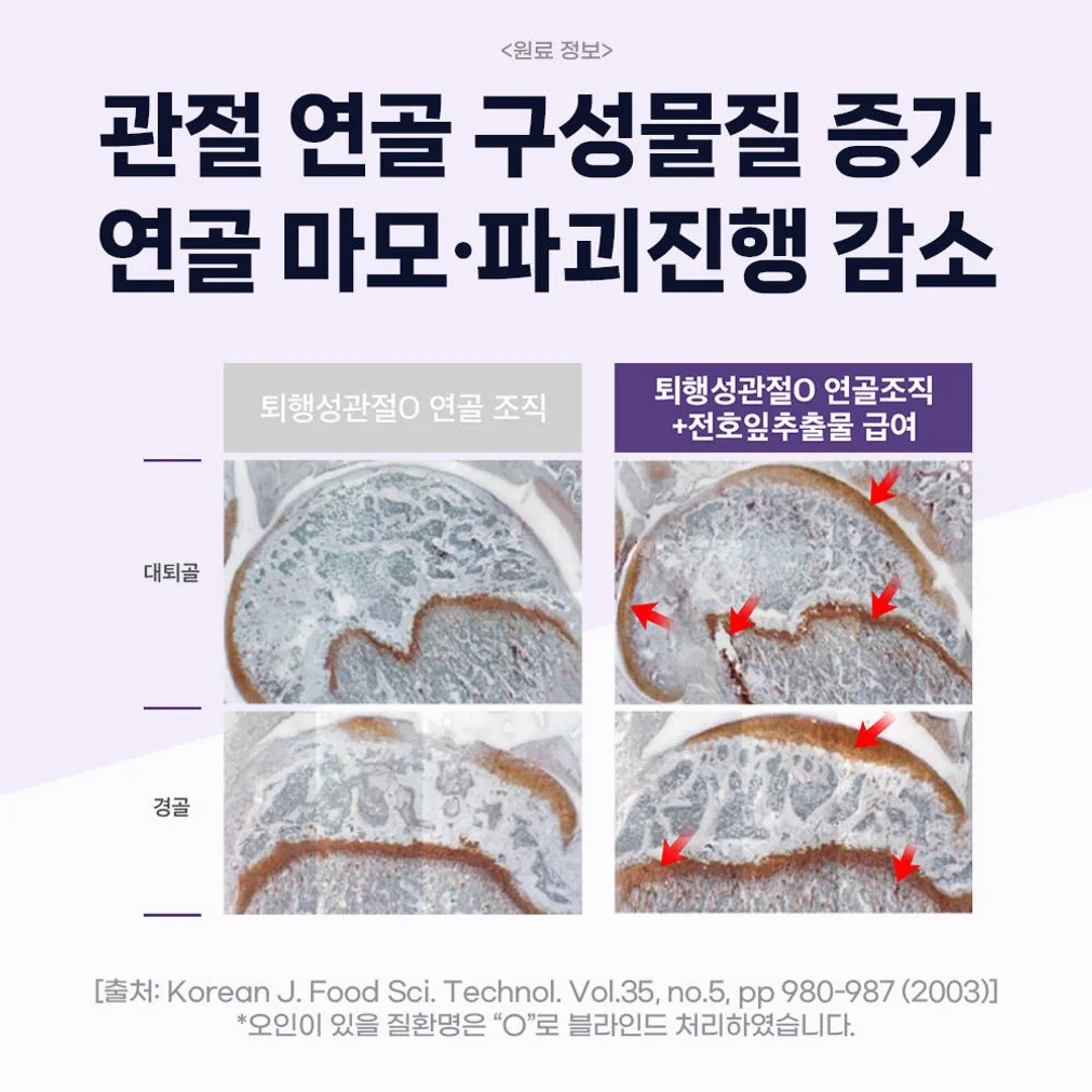 닥터바이 강아지 관절 영양제 슬개골 탈구 무릎 고관절 케어 절뚝거림 조인트, 70정, 1개 상세 이미지 7