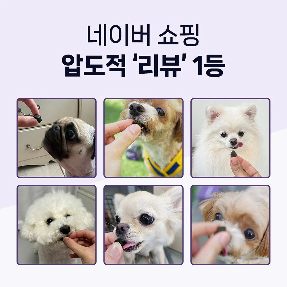 닥터바이 강아지 관절 영양제 슬개골 탈구 무릎 고관절 케어 절뚝거림 조인트, 70정, 1개 상세 이미지 8