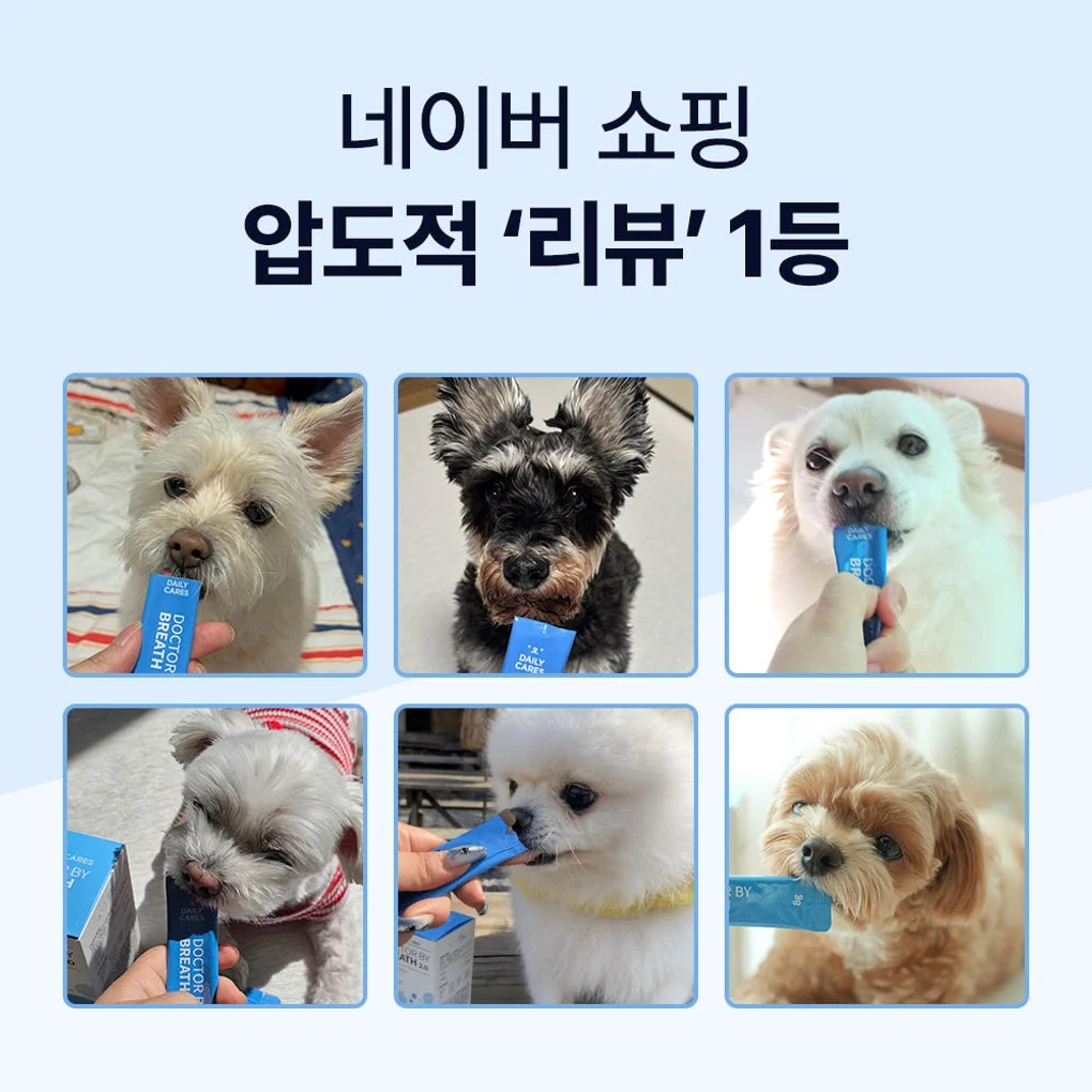 닥터바이 강아지 기관지 영양제 호흡기 면역 기침 콧물 켁켁거림 브레스, 30포, 1개 상세 이미지 8