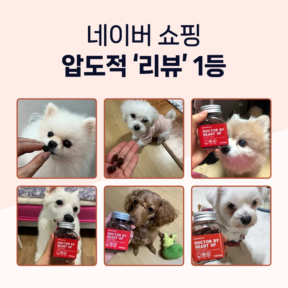 닥터바이 하트업 강아지 심장 영양제 헥헥거림 70개입, 1개 상세 이미지 1