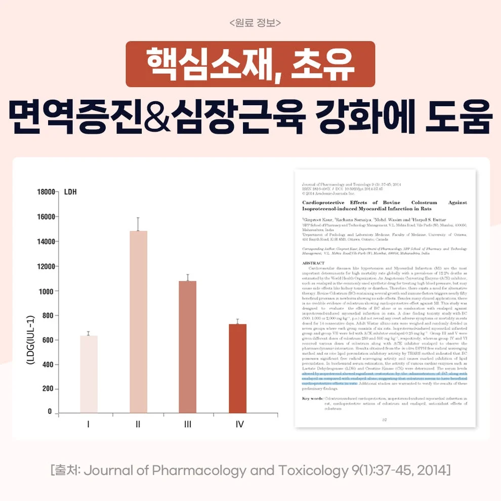 닥터바이 하트업 강아지 심장 영양제 헥헥거림 70개입, 1개 상세 이미지 6