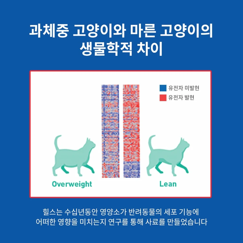 힐스 고양이사료 어덜트 퍼펙트 웨이트 6.8kg 상세 이미지 2