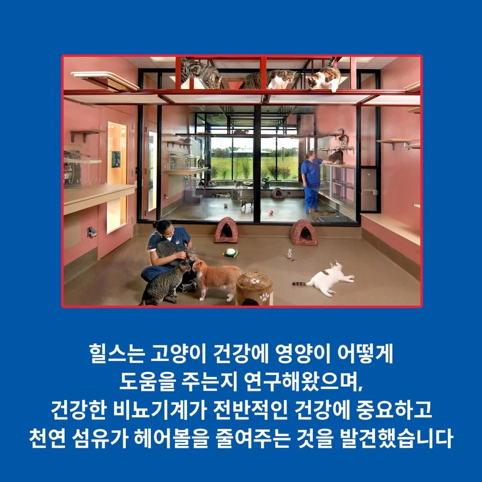 힐스 고양이사료 어덜트 유리너리 헤어볼 컨트롤 1.6kg 상세 이미지 3
