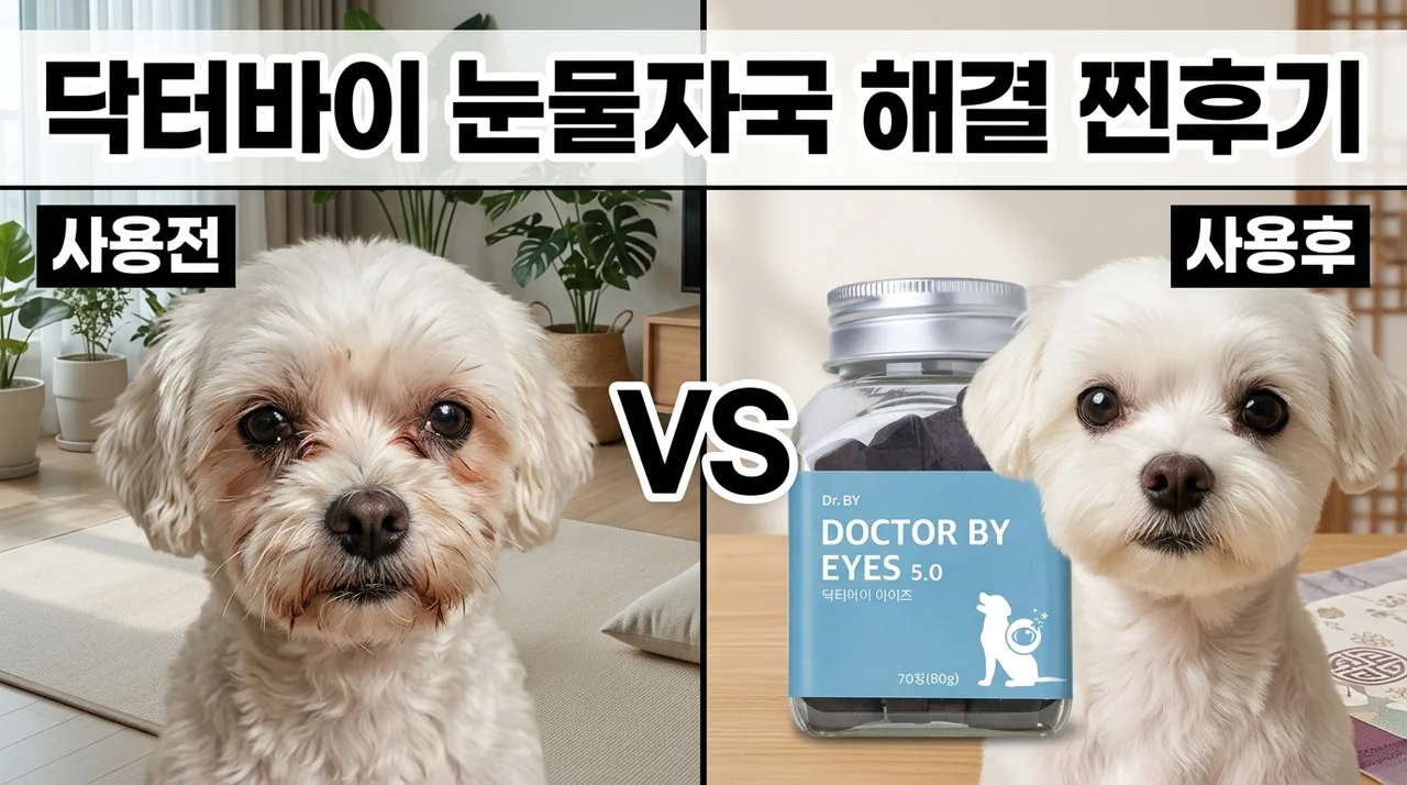 닥터바이 아이즈 강아지 눈 영양제, 눈물자국 고민 끝낸 찐후기