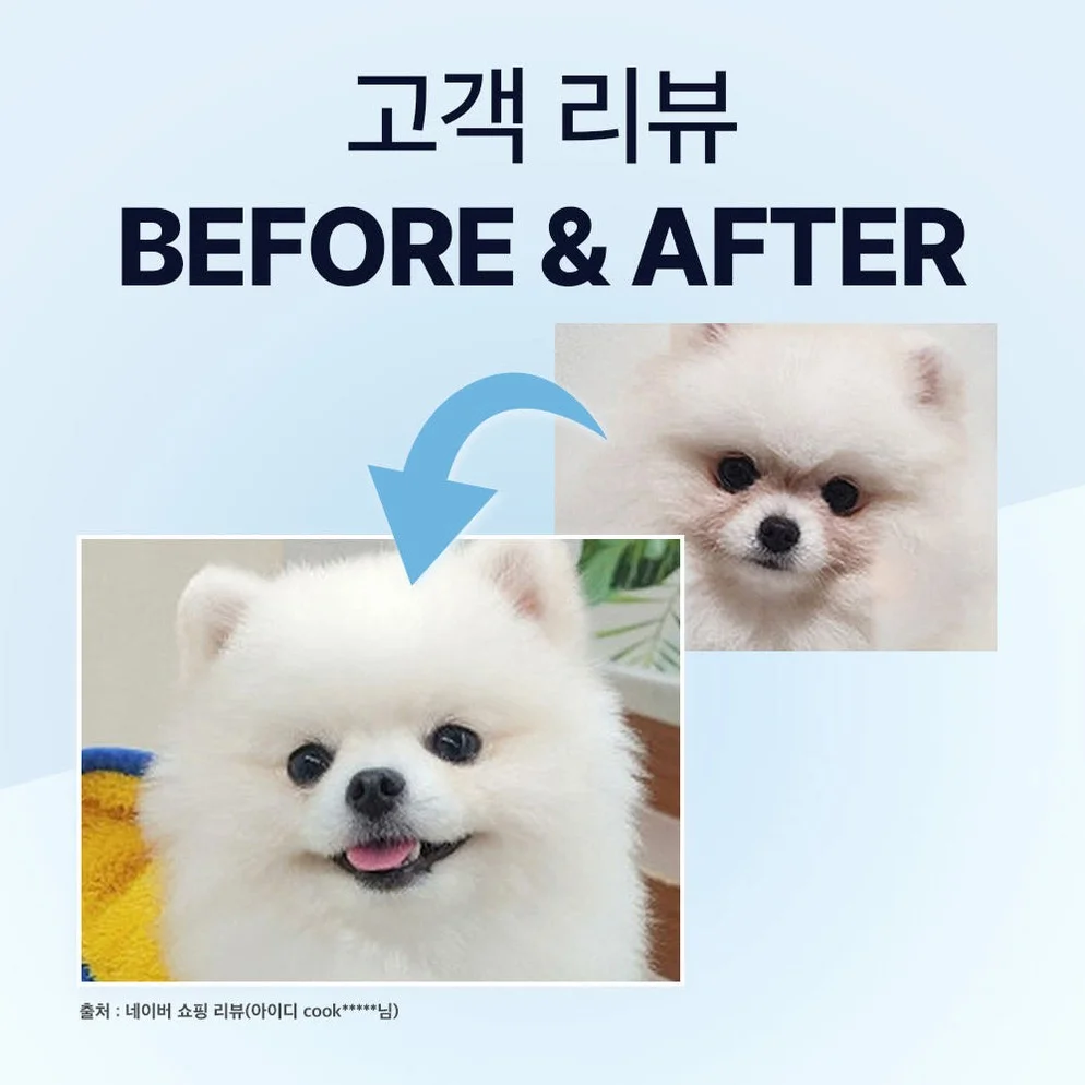 닥터바이 아이즈 강아지 눈 영양제 눈물자국 냄새 루테인 70개입, 1개 상세 이미지 1