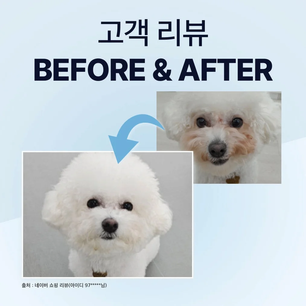 닥터바이 아이즈 강아지 눈 영양제 눈물자국 냄새 루테인 70개입, 1개 상세 이미지 4