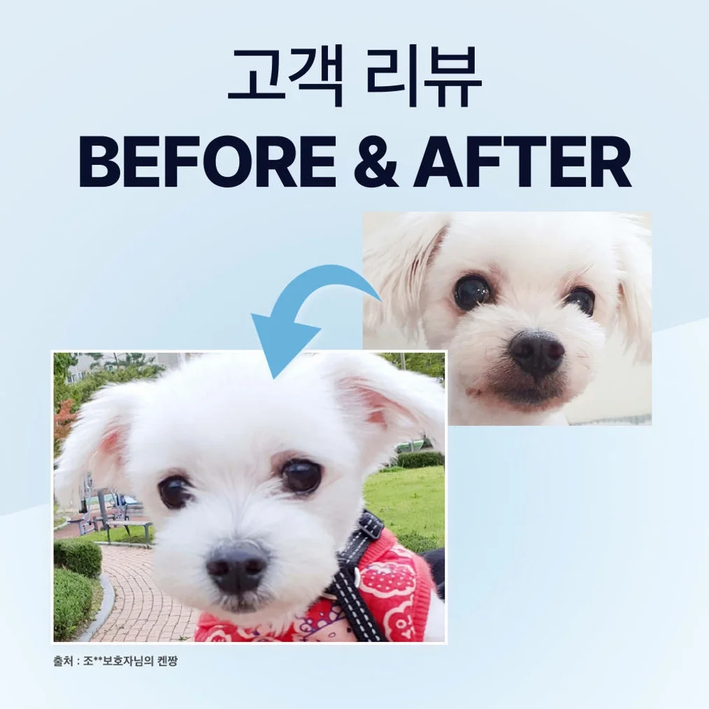닥터바이 아이즈 강아지 눈 영양제 눈물자국 냄새 루테인 70개입, 1개 상세 이미지 5