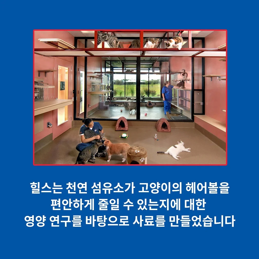 힐스 고양이사료 어덜트 7+ 헤어볼 컨트롤 1.6kg 상세 이미지 6