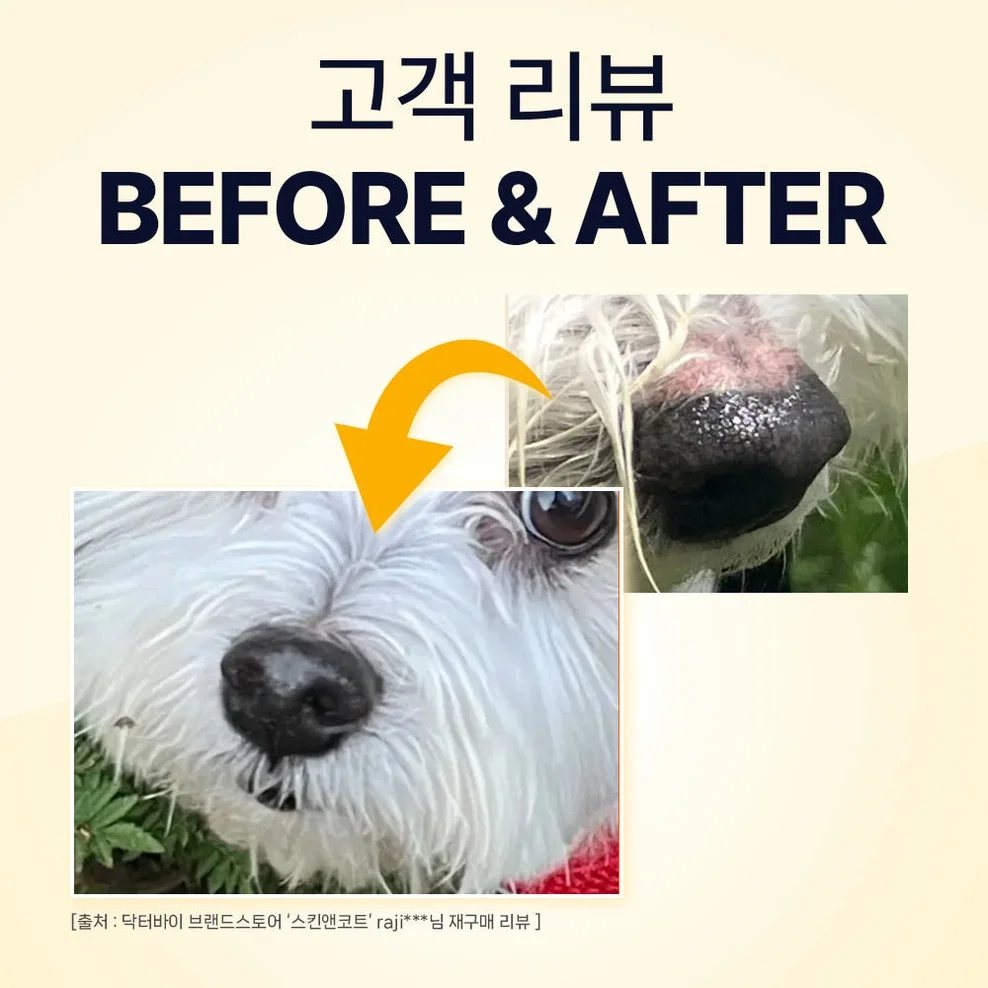 닥터바이 스킨앤코트 강아지 피부 습진 건조 모질 보습 영양제 30개입, 1개 상세 이미지 2