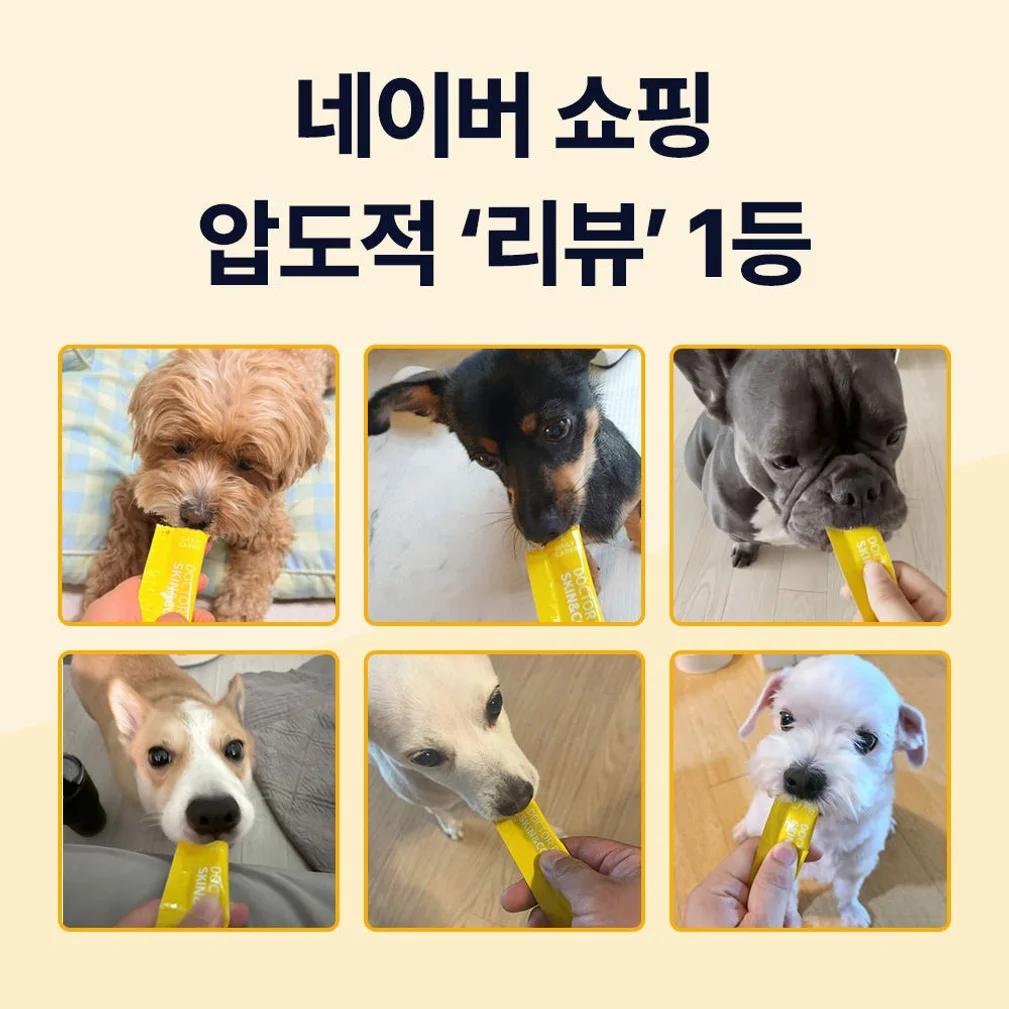 닥터바이 스킨앤코트 강아지 피부 습진 건조 모질 보습 영양제 30개입, 1개 상세 이미지 3