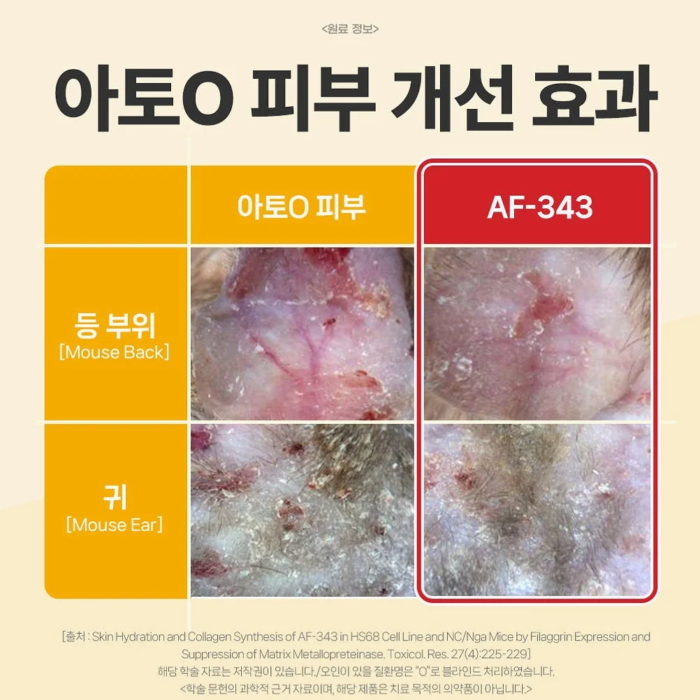닥터바이 스킨앤코트 강아지 피부 습진 건조 모질 보습 영양제 30개입, 1개 상세 이미지 4