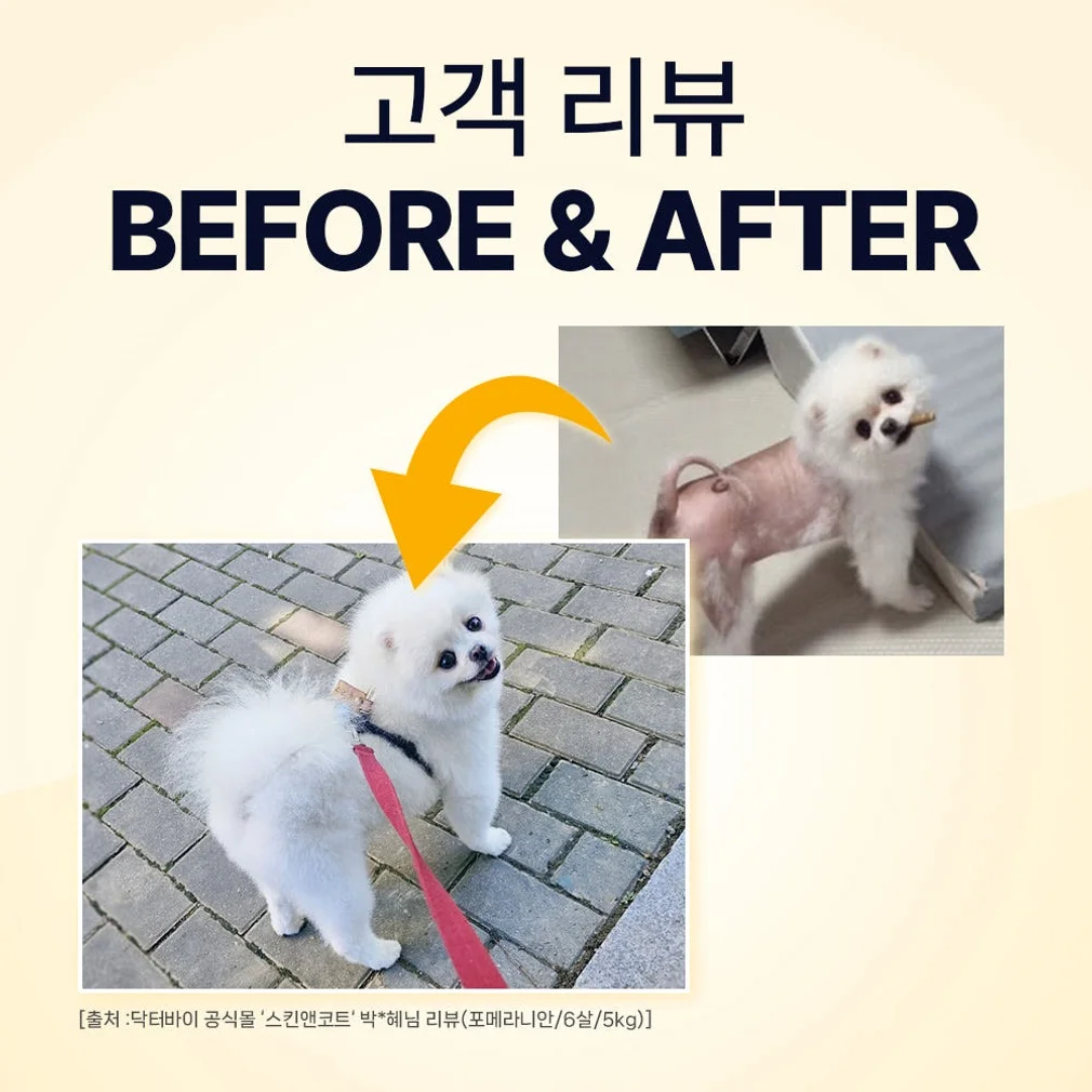 닥터바이 스킨앤코트 강아지 피부 습진 건조 모질 보습 영양제 30개입, 1개 상세 이미지 8