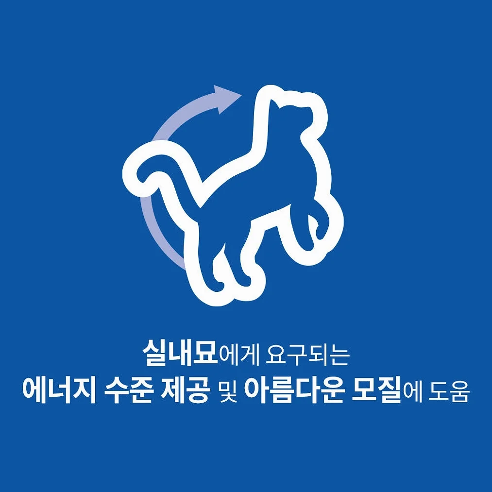 힐스 고양이사료 어덜트 인도어 1.6kg 성묘용 실내묘 상세 이미지 6